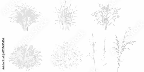Collection of delicate plant silhouettes against a plain white background
