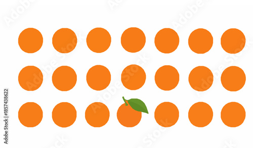 Orange fruit vector illustration in grid arrangement with leaf flat design isolated on white