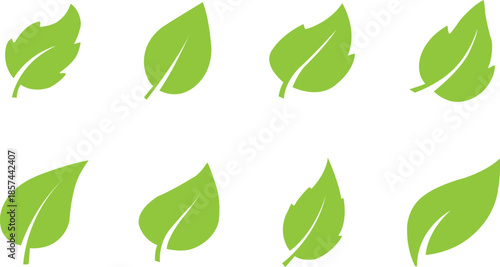 Set of Green Leaf Icons Vector Illustration for Eco Friendly Organic and Nature Logo Design