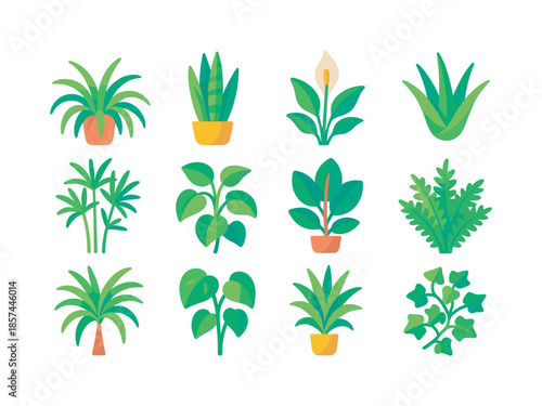 Air-Purifying Plant Icons. Air-purifying plants. Colorful flat vector icons set of air-purifying plants: spider plant, snake plant, peace lily, aloe vera,