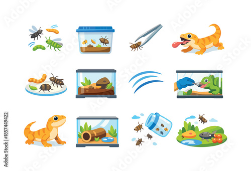 Live Feeding Icons. Live Food Feeding. Colorful flat vector icons set of Live Food Feeding: flying insects, prey container, feeding tweezers, pet strike