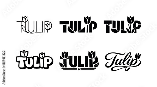 Tulip Typography Variations. Tulip line art inspired typography. Set lettering. harmonious lettering variations of the same emblematic concept, each with