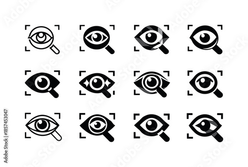 Inspection Icon Set. Inspection. Icon set. Set Logo of inspection: eye focus symbol. harmonious logo variations of the same emblematic concept, each with