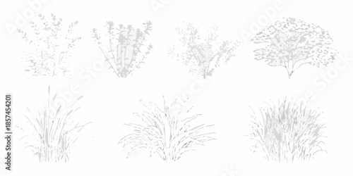 Collection of sketched botanical illustrations featuring trees and grasses