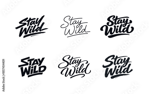 Diverse Brush Typography. Modern handmade brush typography. Set lettering. harmonious lettering variations of the same emblematic concept, each with different