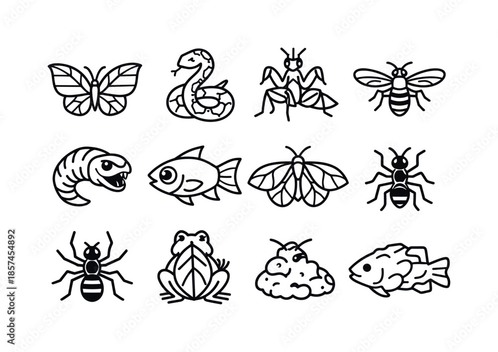 Obraz premium Nature's Mimicry Icons. Mimicry in Nature. Line icon set of Mimicry in Nature: butterfly leaf wings, harmless snake mimic, orchid mantis flower, hoverfly wasp