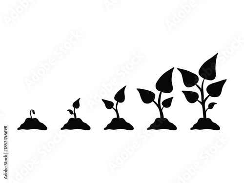 Realistic plant growth stages. Young seed growing in ground. Spring sprout blooming stage