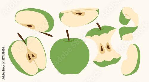 Green Apple set. Whole, half, sliced, bitten fruit, skin. Hand drawn Vector illustration. Isolated design elements. Tasty food, healthy product concept. Sticker, print, logo, icon templates