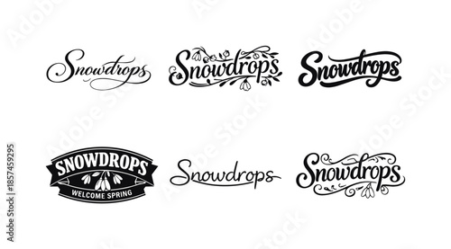 Creative Lettering Grid. Snowdrops. Set lettering. harmonious lettering variations of the same emblematic concept, each with different artistic interpretation