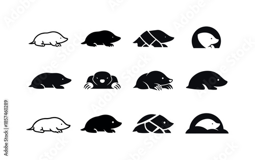 Mole Logo Variations. Mole. Icon set. Set Logo of mole: mole animal silhouette. harmonious logo variations of the same emblematic concept, each with different