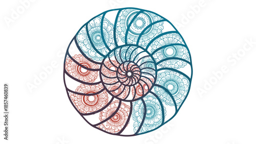 Colorful Hand Drawn Nautilus Shell Illustration.