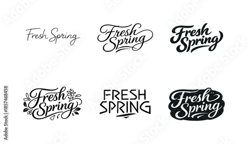 Spring Script Variations. Fresh Spring Script. Set lettering. harmonious lettering variations of the same emblematic concept, each with different artistic