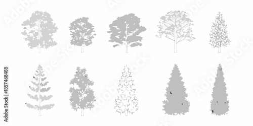 Variety of tree silhouettes in grayscale representing diverse botanical forms