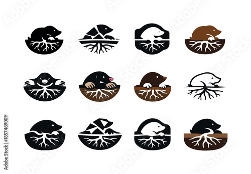 Mole Logo Variations. Mole. Icon set. Set Logo of mole: subterranean ecosystem symbol. harmonious logo variations of the same emblematic concept, each with