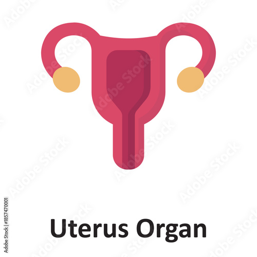 Uterus Organ Vector Icon which can easily modify or edit
