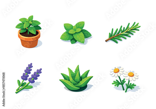 Herbal Icon Grid. Herbal plants. Isometric flat vector icons set of Herbal plants: basil plant pot, mint leaf sprig, rosemary branch, lavender flowers, aloe