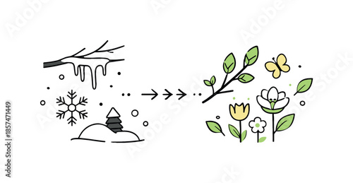 Winter to Spring Transition. March transition concept. Winter elements fading into spring symbols like buds and small flowers in one balanced composition. Calm