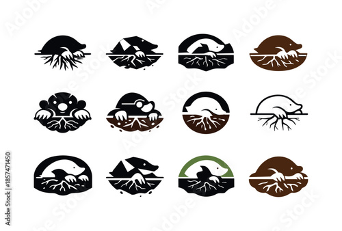 Mole Logo Variations. Mole. Icon set. Set Logo of mole: subterranean ecosystem symbol. harmonious logo variations of the same emblematic concept, each with