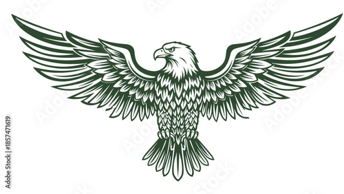 Detailed Illustration of Eagle in Flight.