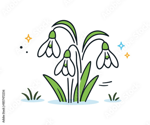 Elegant Snowdrop Illustration. Snowdrops early spring illustration. A simple close-up of snowdrop flowers with curved stems and hanging buds. Fragile beauty,