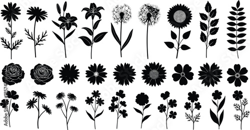 Set of nature silhouettes, cattail reeds, pampas grass, round bushes, and tree, landscape design elements, cad drawing flat vector illustration.