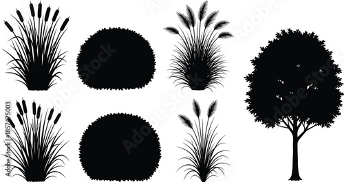 Collection of nature silhouettes, cattails, garden bushes, pampas grass, and tree, landscape design elements, cad drawing flat vector illustration.