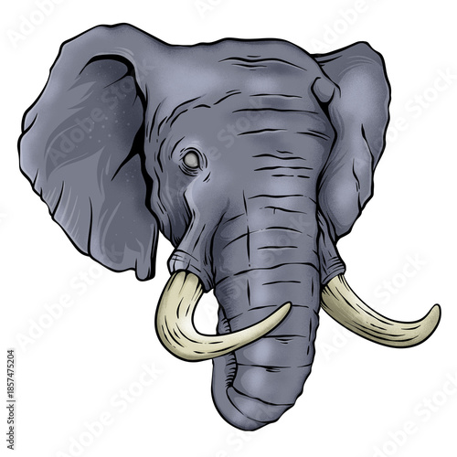 Elephant Head Illustration