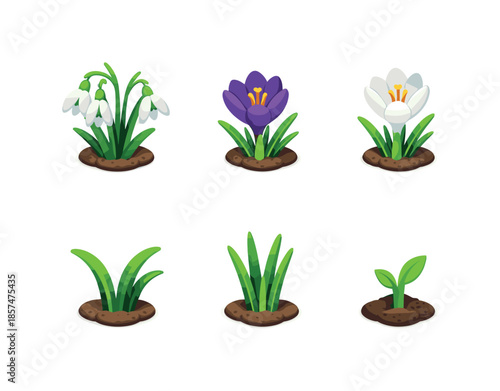 Spring Flower Icons. Early Spring Flowers. Isometric flat vector icons set of Early Spring Flowers: snowdrop blossom cluster, purple crocus flower, white