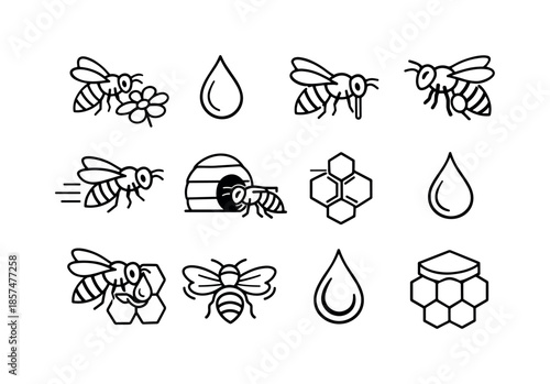 Honeybee Lifecycle Icons. How bees make honey. Line icon set of how bees make honey: foraging bee, flower nectar drop, bee proboscis sipping nectar, nectar