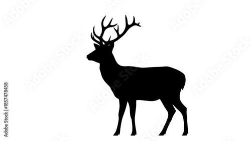Male Deer Silhouette with Antlers Standing.