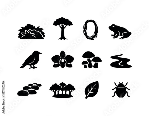 Rainforest Icons Set. Deep rainforest. Solid icon set of deep rainforest: dense foliage, tall tree, vine loop, frog silhouette, bird silhouette, orchid flower,