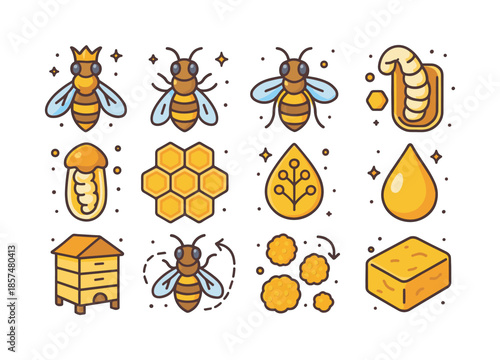 Bee Biology Icons. Bee biology. Colorful isometric vector icons set of bee biology: queen bee icon, worker bee icon, drone bee icon, larva cell, capped brood