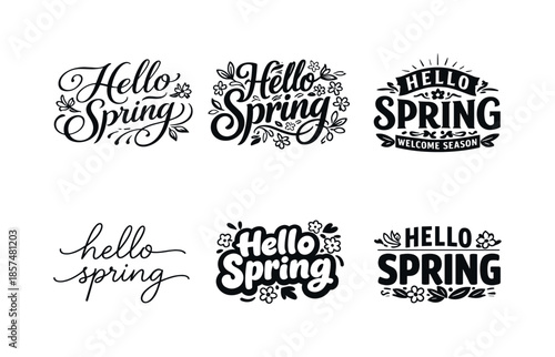 Botanical Spring Lettering. Botanical Spring Lettering. Set lettering. harmonious lettering variations of the same emblematic concept, each with different