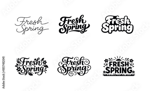 Spring Lettering Variations. Fresh Spring Lettering. Set lettering. harmonious lettering variations of the same emblematic concept, each with different