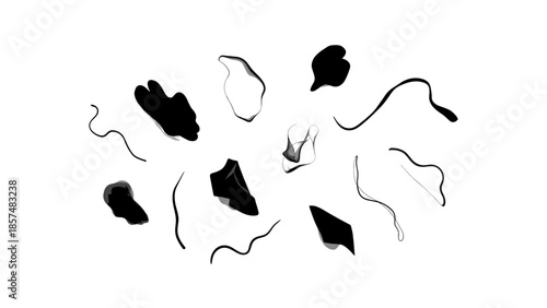 Sperm Cells Swimming Towards the Egg.