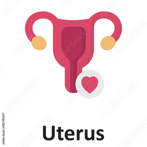 Uterus Vector Icon which can easily modify or edit