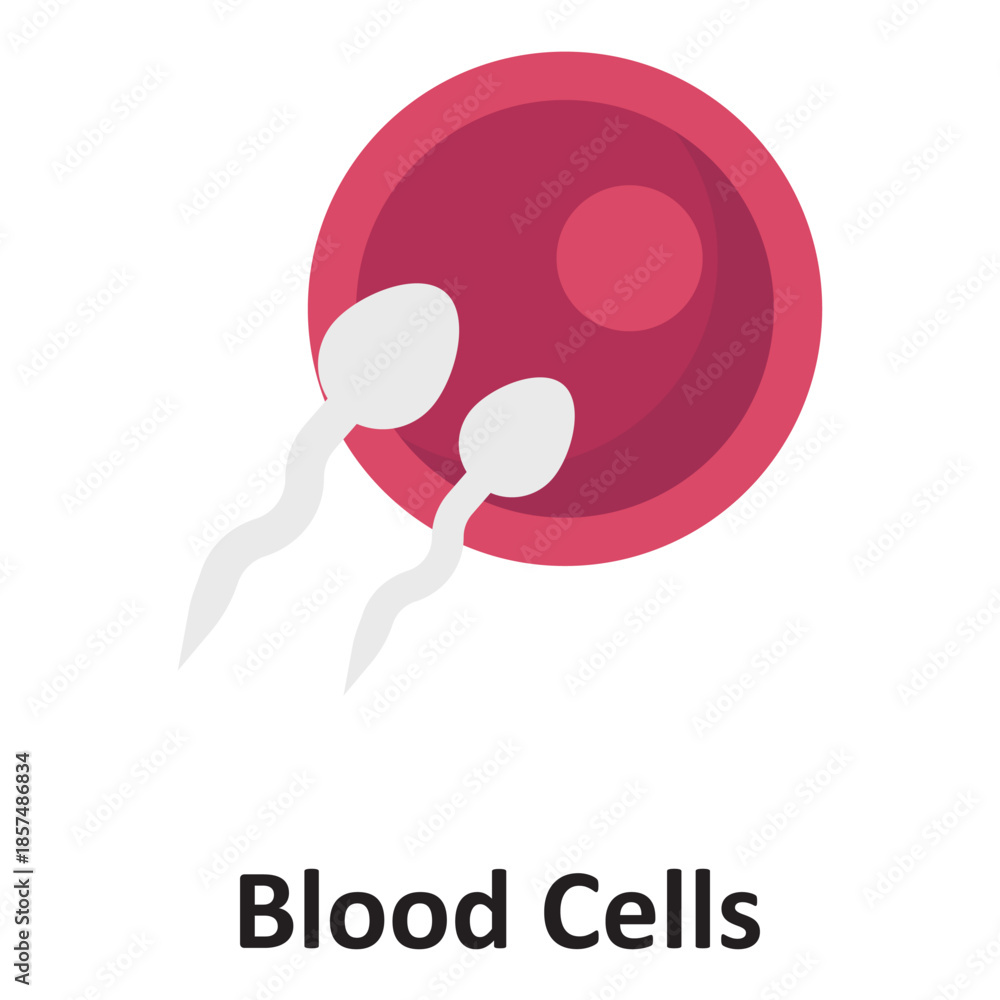 Obraz premium Blood Cells Vector Icon which can easily modify or edit