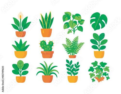 Indoor Plant Icons. Indoor plants. Colorful flat vector icons set of indoor plants: peace lily, snake plant, pothos vine, monstera leaf, aloe pot, cactus pot,