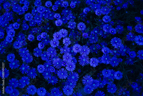 名刺等バック、背景用