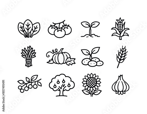 Eco Farming Icons. Eco farming. Line icon set of eco crops and plants: leafy greens, tomato cluster, bean sprout, corn stalk, herb bundle, pumpkin vine, potato