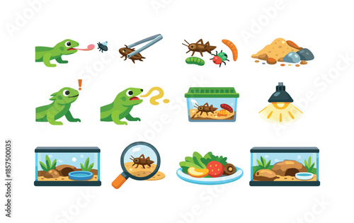 Reptile Feeding Icons. Reptile Feeding. Colorful flat vector icons set of Reptile Feeding: lizard catching fly, feeding tongs, insect prey, terrarium floor,