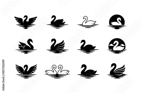 Lakeside Logo Variations. Lakeside. Icon set. Set Logo of Lakeside: waterbird silhouette. harmonious logo variations of the same emblematic concept, each with