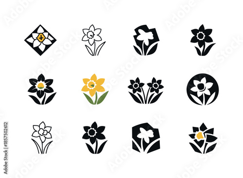 Daffodil Logo Variations. birth flowers. Icon set. Set Logo of birth flowers: daffodil (March). harmonious logo variations of the same emblematic concept, each