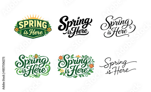 Spring Lettering Variations. Spring is Here. Set lettering. harmonious lettering variations of the same emblematic concept, each with different artistic