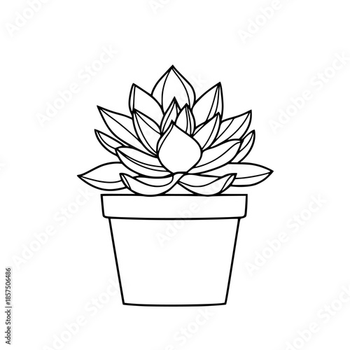 Vintage Elegance: Crocheted Succulent Planter | Clean, isolated vector art for creative projects.