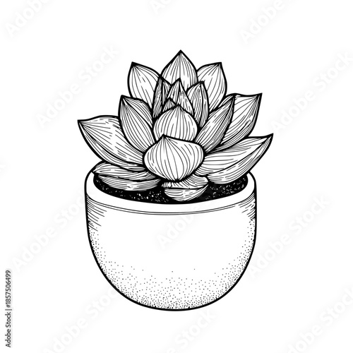 Elegant Succulent Planter - Handcrafted Ceramic Pot Natural Rustic Details | Clean, isolated vector art for creative projects.