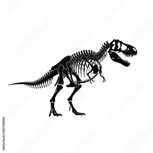 black silhouette of dinosaur skeleton