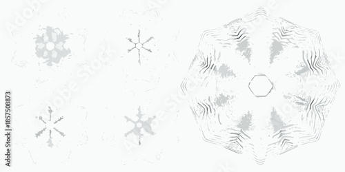 Abstract grayscale patterns resembling snowflakes and organic shapes on white