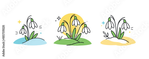 Spring Snowdrop Vectors. Snowdrop Flower Vectors. Snowdrops emerging from abstract ground shapes, suggesting the first signs of spring. Soft optimistic feeling