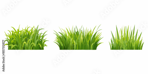 Three bundles of vibrant green grass isolated on a white background